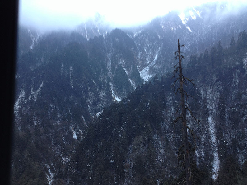 念кݹȪ5